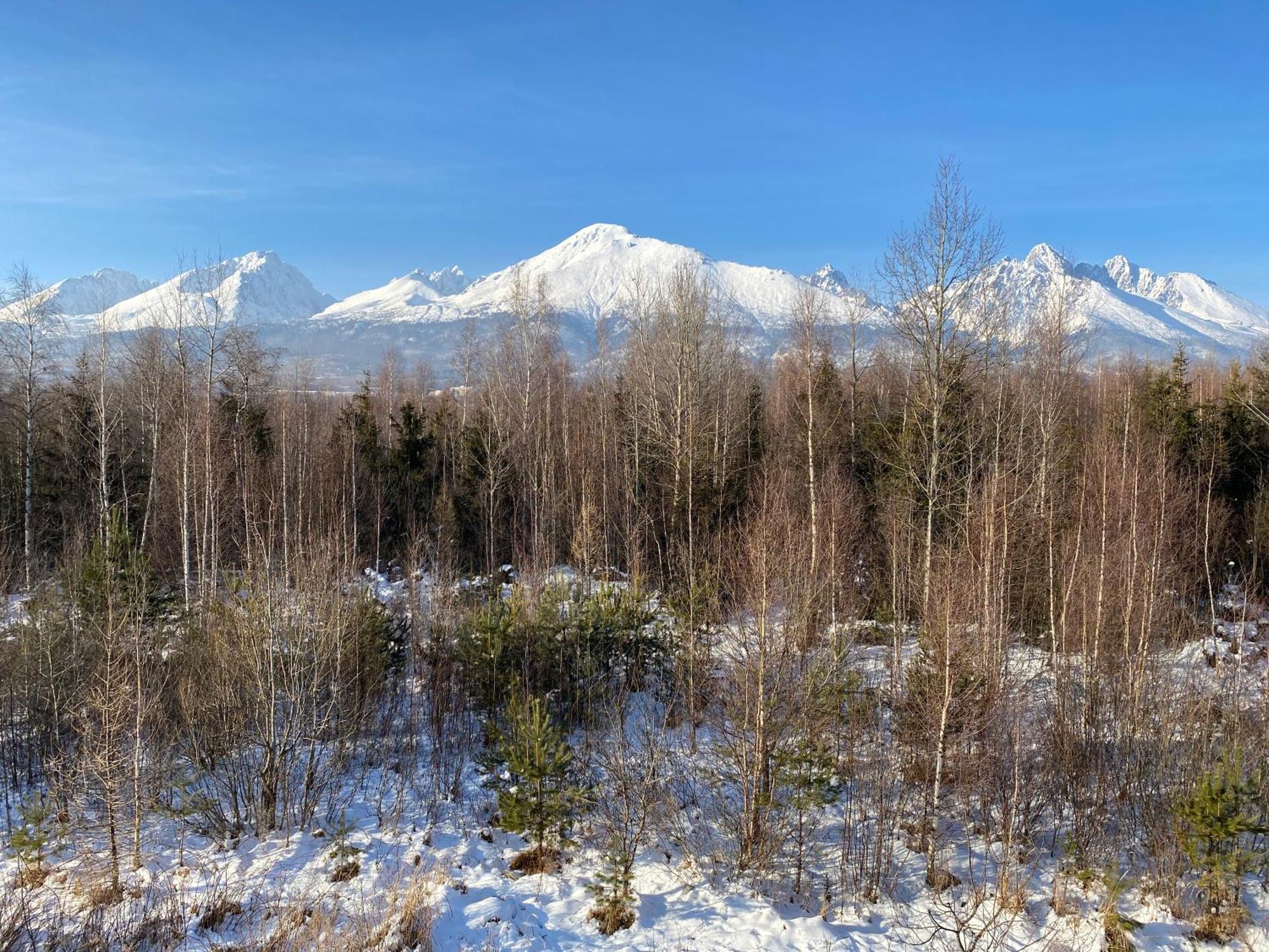 Apartman S Nadhernym Vyhladom Na Tatry Wielki Sławków Zewnętrze zdjęcie